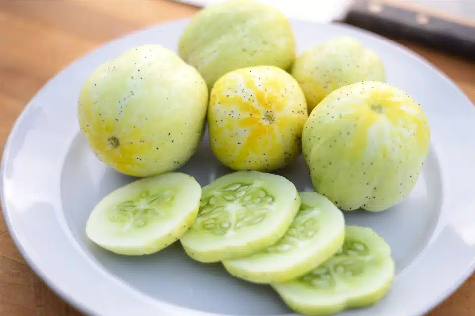Round Lemon Cucumbers on a plate. Some are sliced.