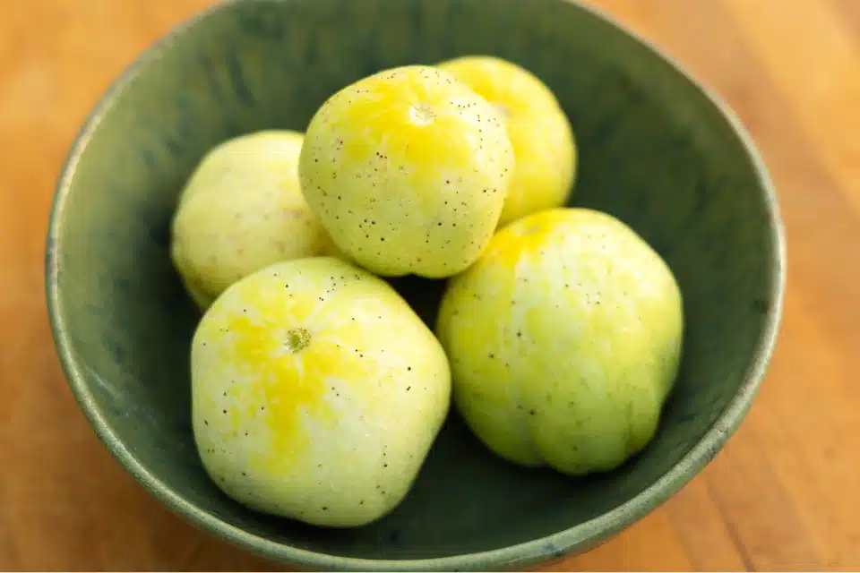 Lemon Cucumber Seeds - Image 2