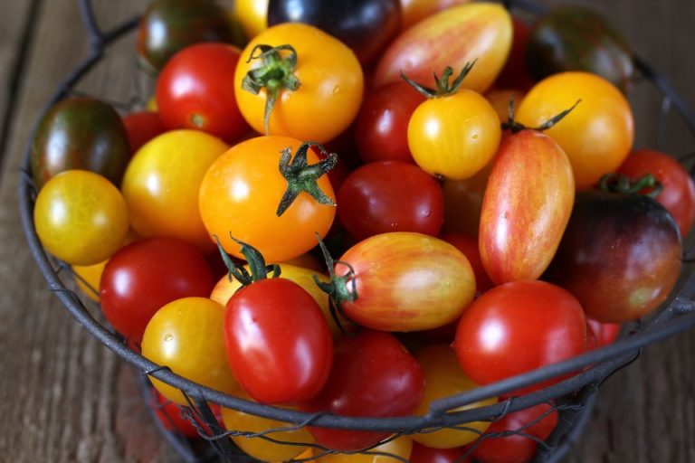Rainbow Cherry Tomatoes — San Diego Seed Company