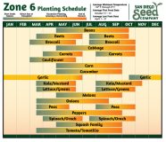Zone 6a Planting Schedule 2024 Dayna Idaline Zone 6a Planting Schedule 2024 Dayna Idaline