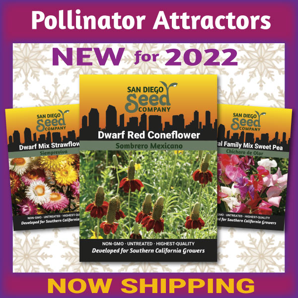 Local Seeds Buy Local Seeds from San Diego Seed Company