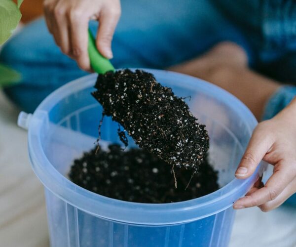 The Best Soil for Outdoor Potted Plants — San Diego Seed Company