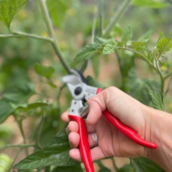 corona bypass pruners