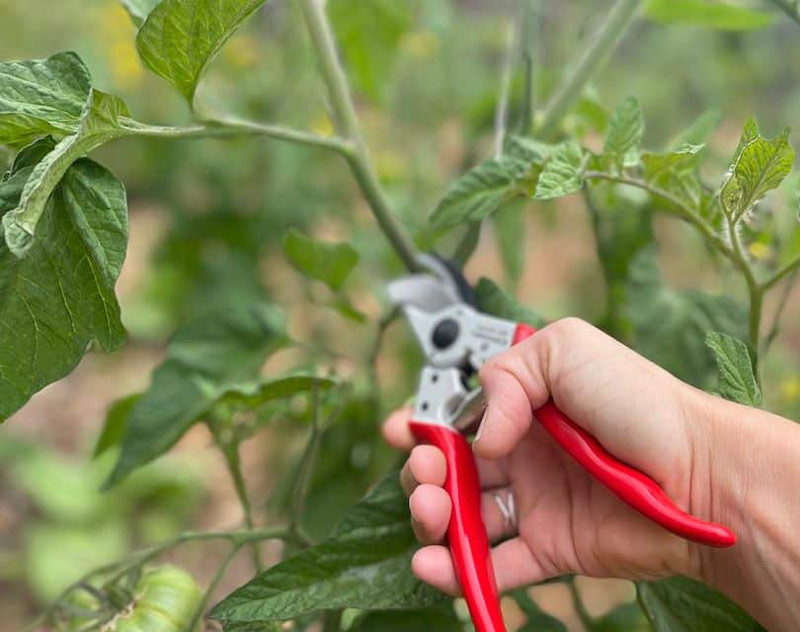 Corona Bypass Pruners