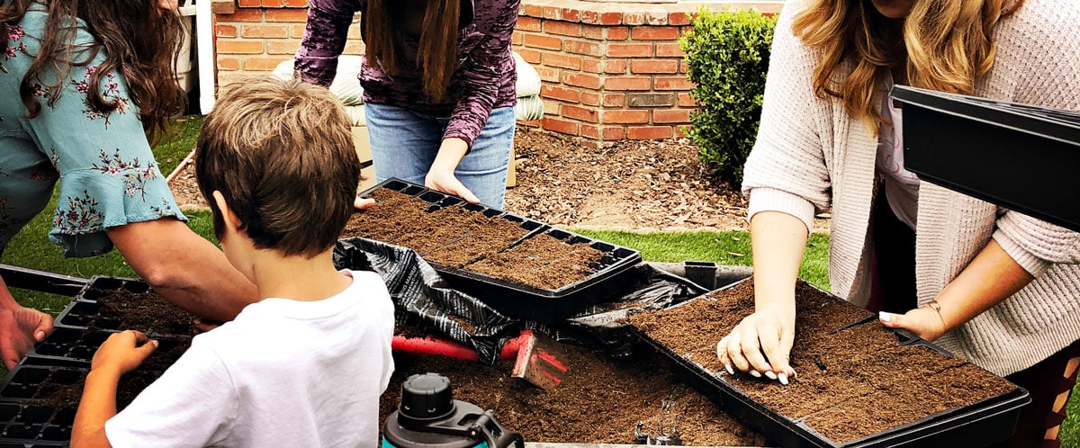 Featured image for “How to Grow Plants from Seeds Step by Step”