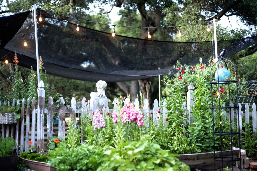 Growing Together Membership June 2025 Cohort