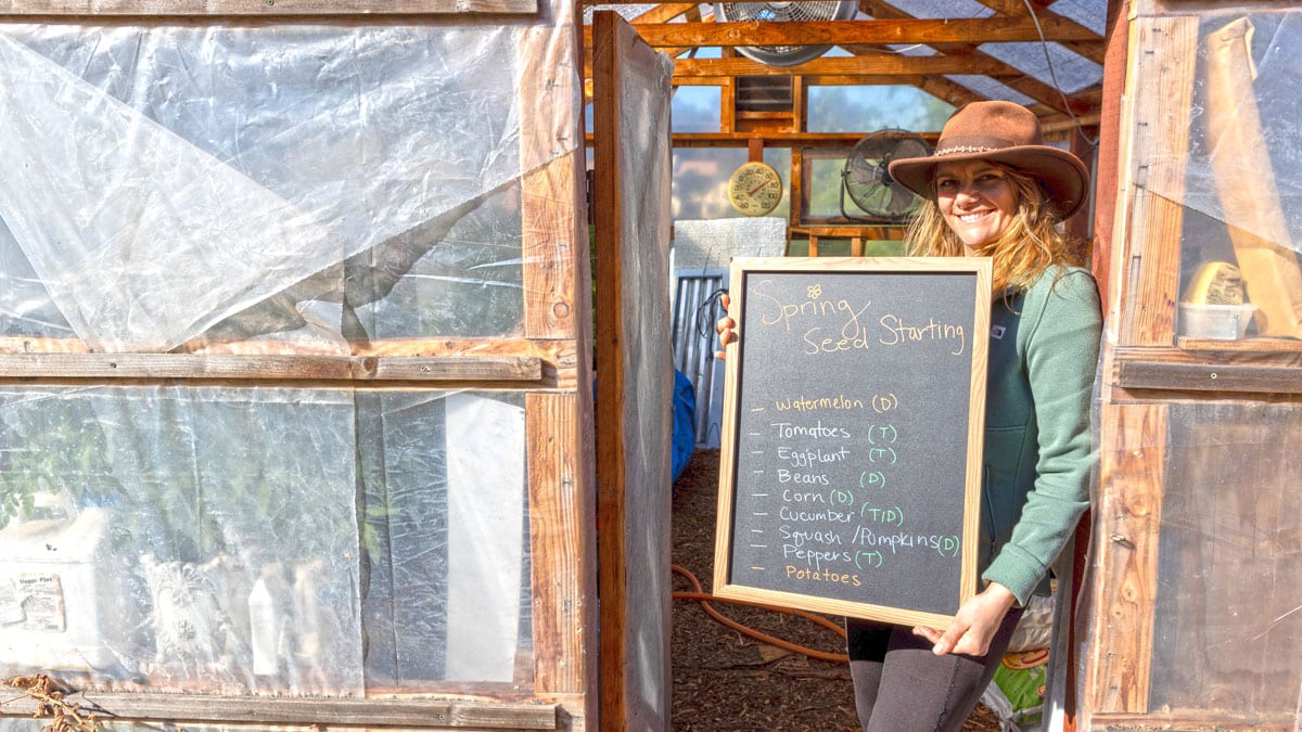 Gardening Classes Near Me Discover the Therapeutic Benefits of Local Gardening