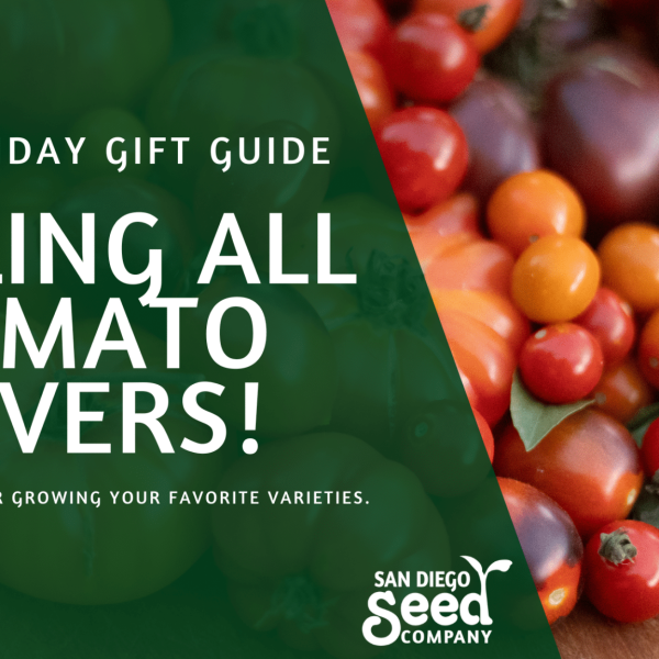 Calling All Tomato Lovers