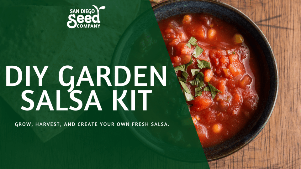 DIY Garden Salsa Kit