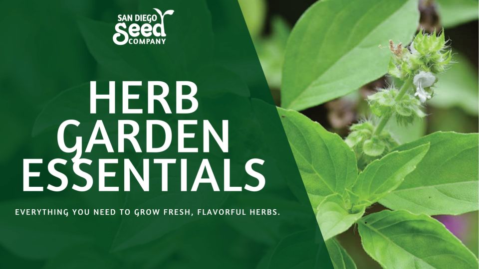 Herb Garden Essentials