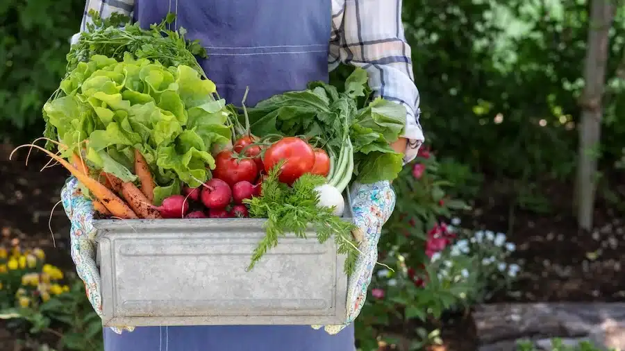 Fall Garden Prep Workshop