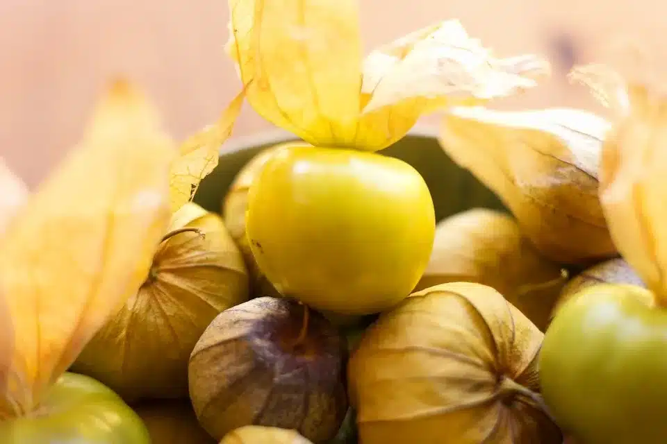 Rio Grande Verde Tomatillo Seeds - Image 5