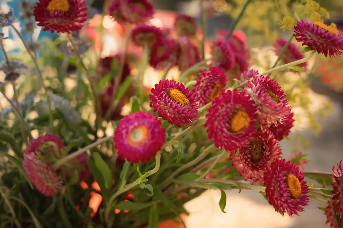 Featured image for “2026 Open House”