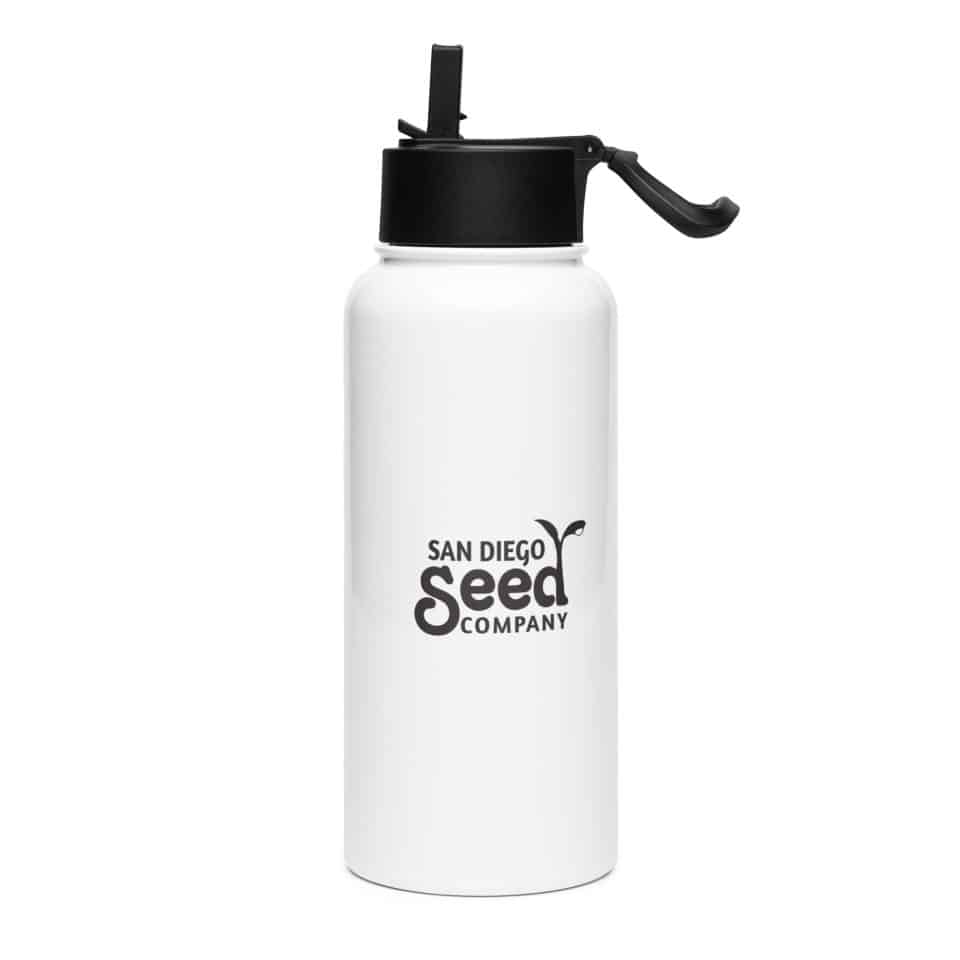 Stainless steel water bottle with a straw lid - Image 2