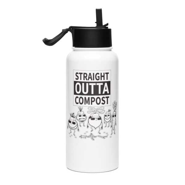 Stainless steel water bottle with a straw lid