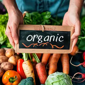 Organic local seeds