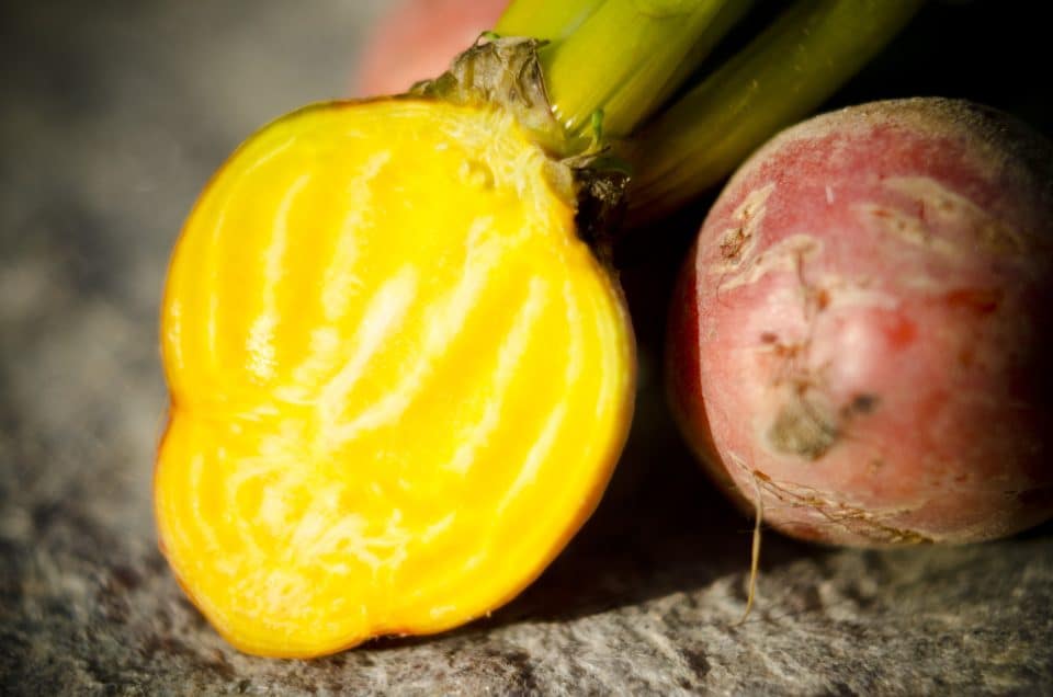 Rainbow Beet Mix - Image 4