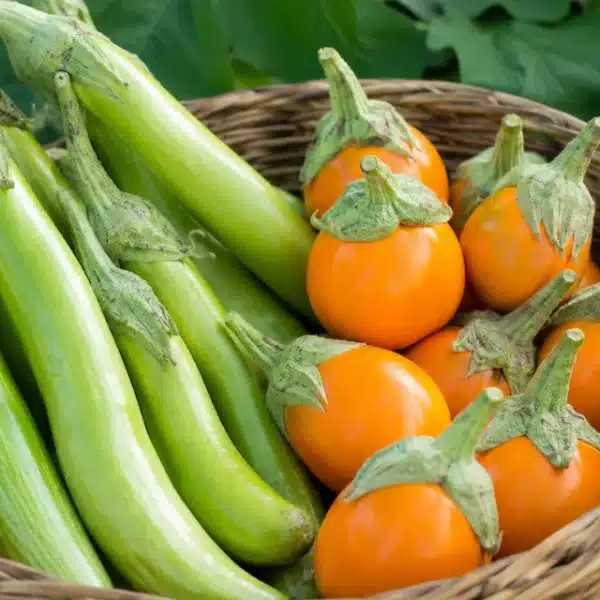 SoCal Eggplant Mix