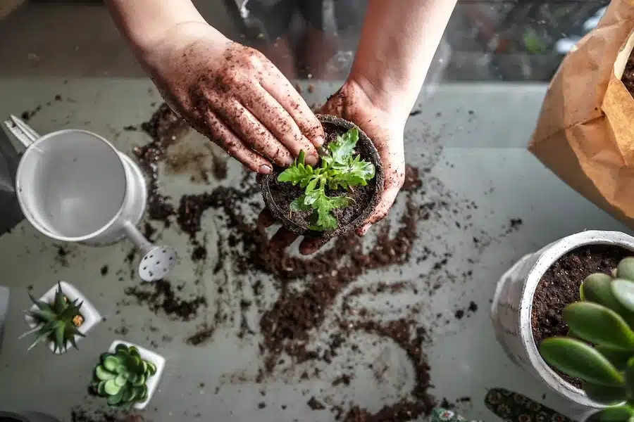 Spring Garden Prep Workshop