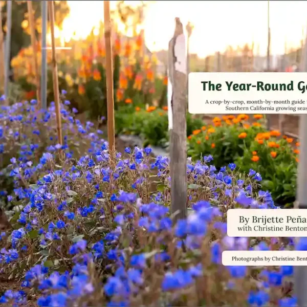 The Year-Round Garden Book